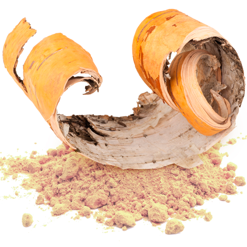 Featured image for “Antifungal activities of origanum oil against Candida albicans”