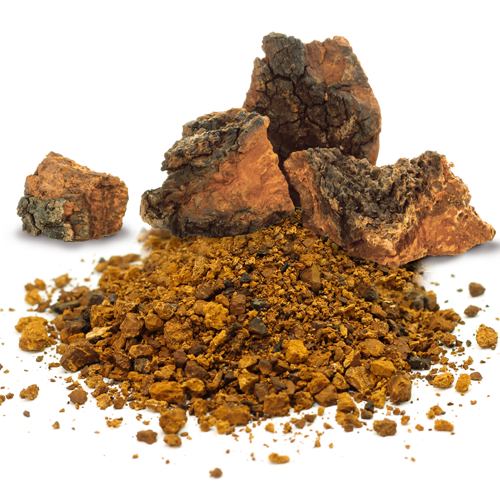 Chaga