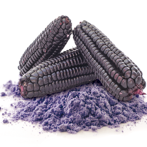 Purple Corn