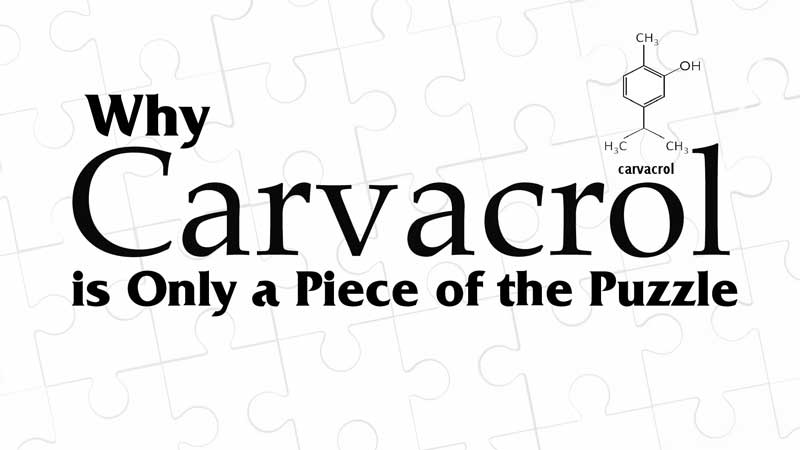 carvacrol text over puzzle