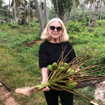 Ms Judy Ms Judy Sourcing Wild Ingredients