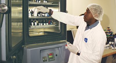 researcher doing scientific research