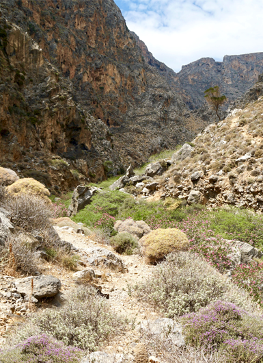 canyon in the wilderness