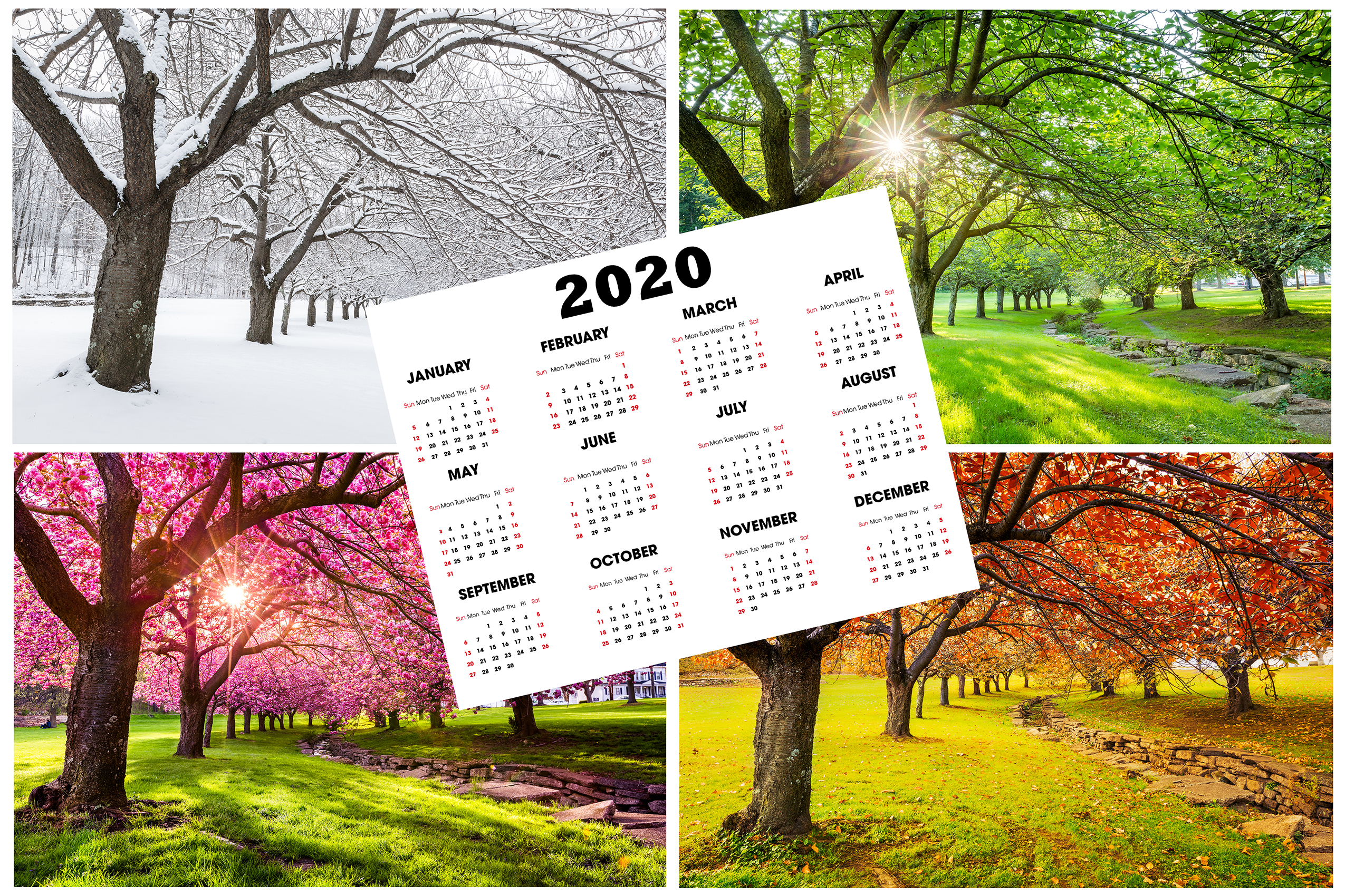 Featured image for “How To Support Your Immune System Year Round”