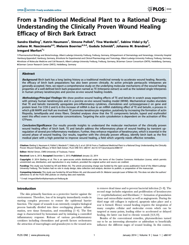 From a Traditional Medicinal Plant to a Rational Drug Understanding