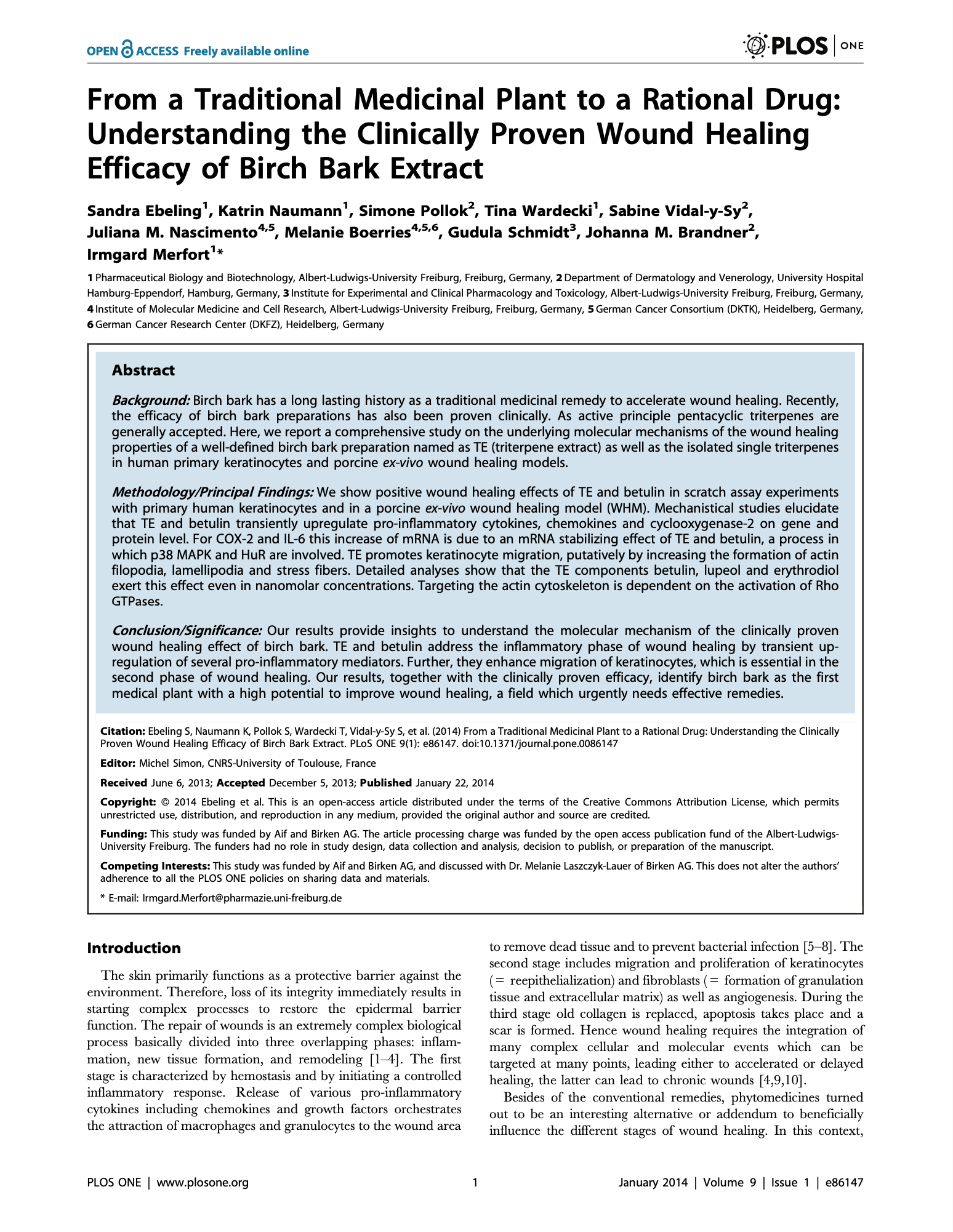 Featured image for “From a Traditional Medicinal Plant to a Rational Drug: Understanding the Clinically Proven Wound Healing Efficacy of Birch Bark Extract”