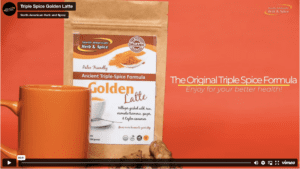Screen Shot 2023-03-01 at 1.10.13 PM Triple Spice Golden Latte