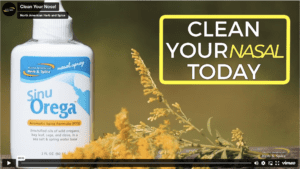 Screen Shot 2023-03-01 at 1.34.24 PM Clean your nasal today