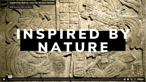 Inspired by Nature: Used by Ancient Healers