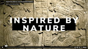Screen Shot 2023-03-01 at 12.45.45 PM Inspired by Nature: Used by Ancient Healers