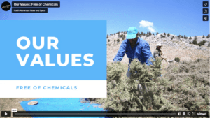 Screen Shot 2023-03-01 at 12.52.26 PM Our Values: Free of Chemicals