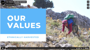 Our Values: Ethically Harvested