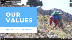 Screen Shot 2023-03-01 at 12.54.32 PM Our Values: Ethically Harvested