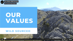 Our Values: Wild Sourced