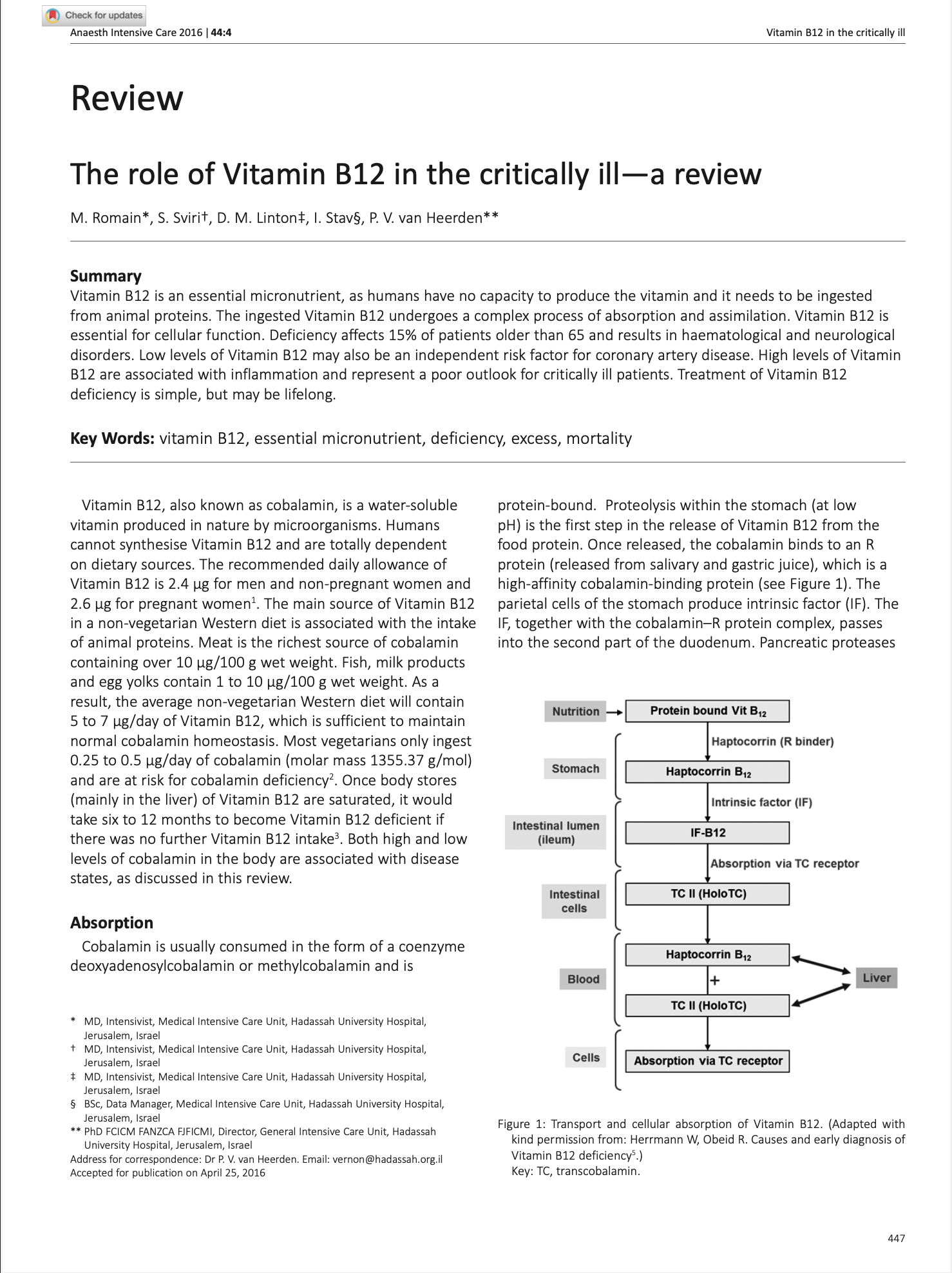 Featured image for “The role of Vitamin B12 in the critically ill—a review”