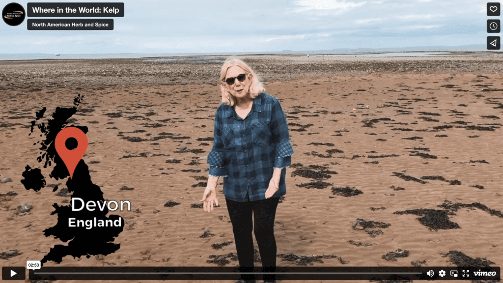 Where in the World Kelp North American Herb & Spice