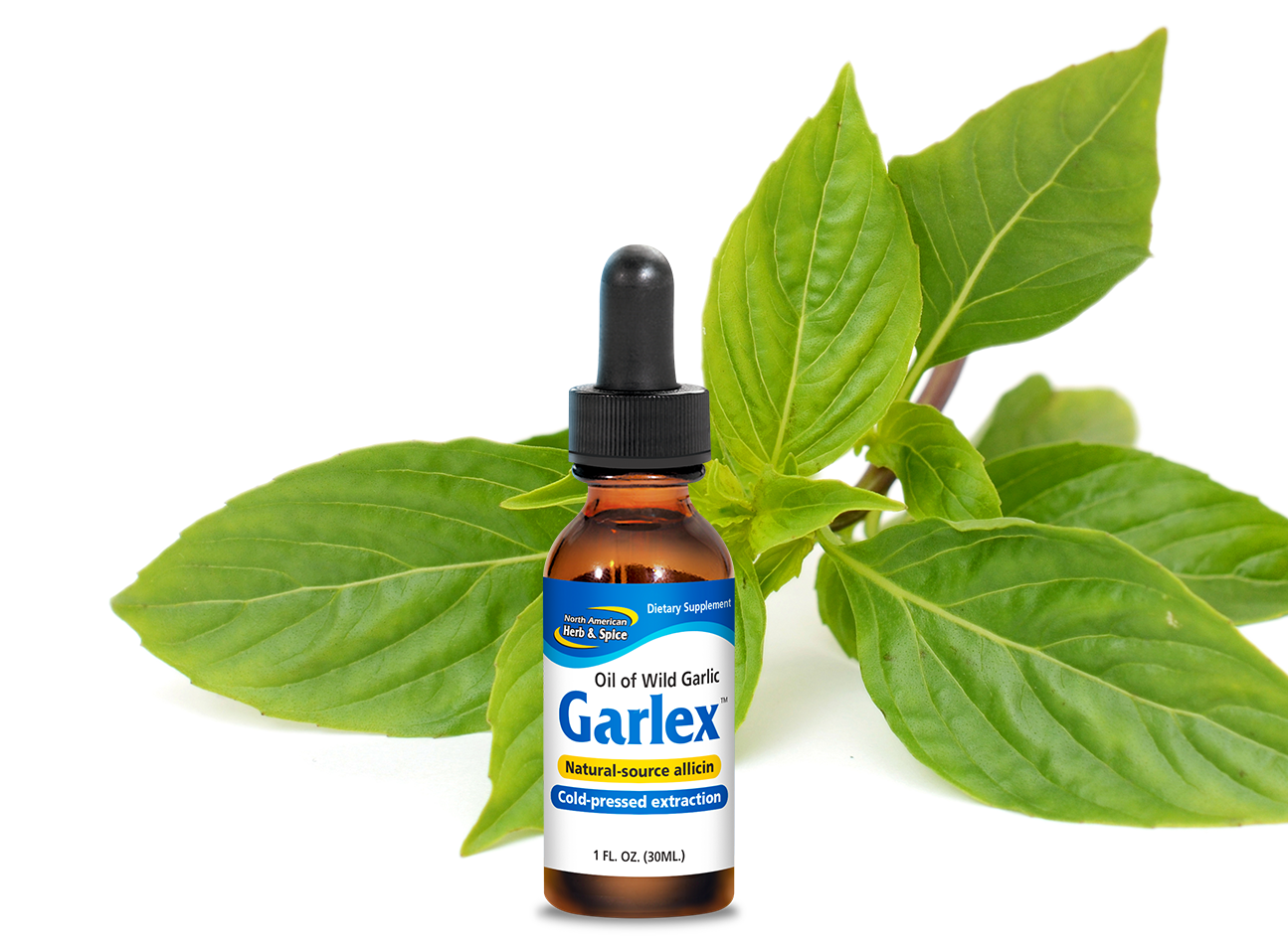 Basil leaves with Garlex product