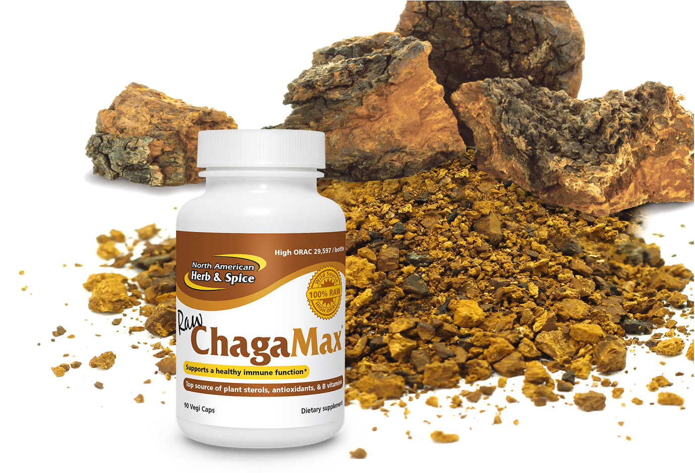 Raw chaga with ChagaMax product bottle