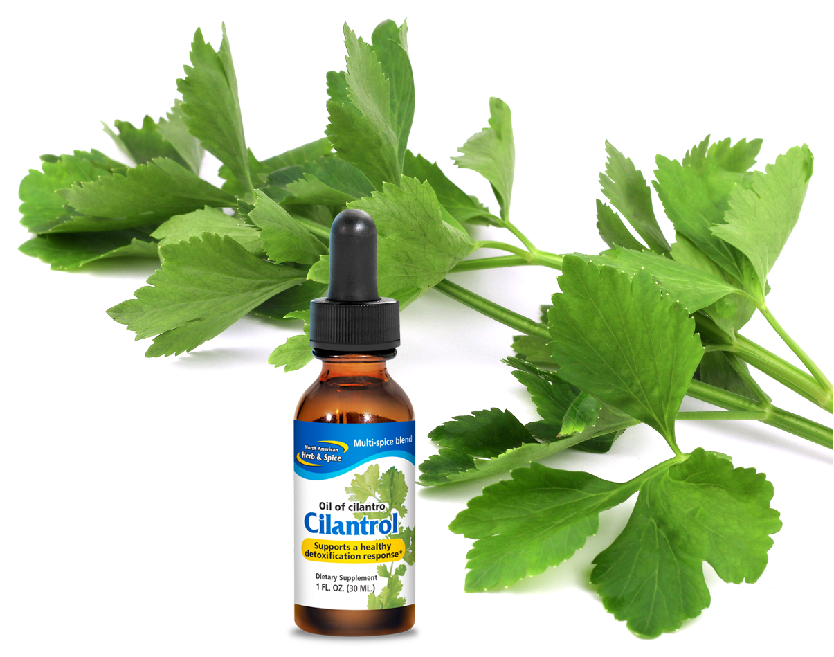 Cilantro sprig with Cilantrol product bottle