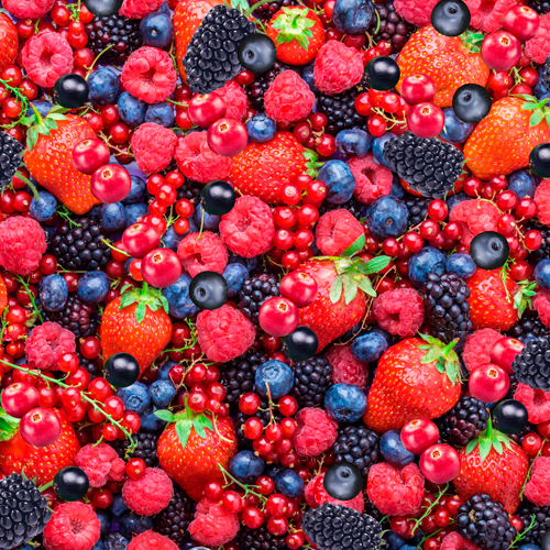 Various types of wild berries