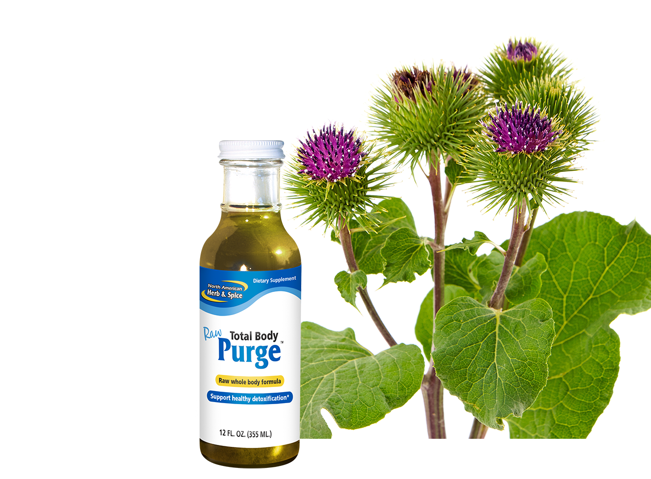 Burdock ingredient with Total Body Purge product