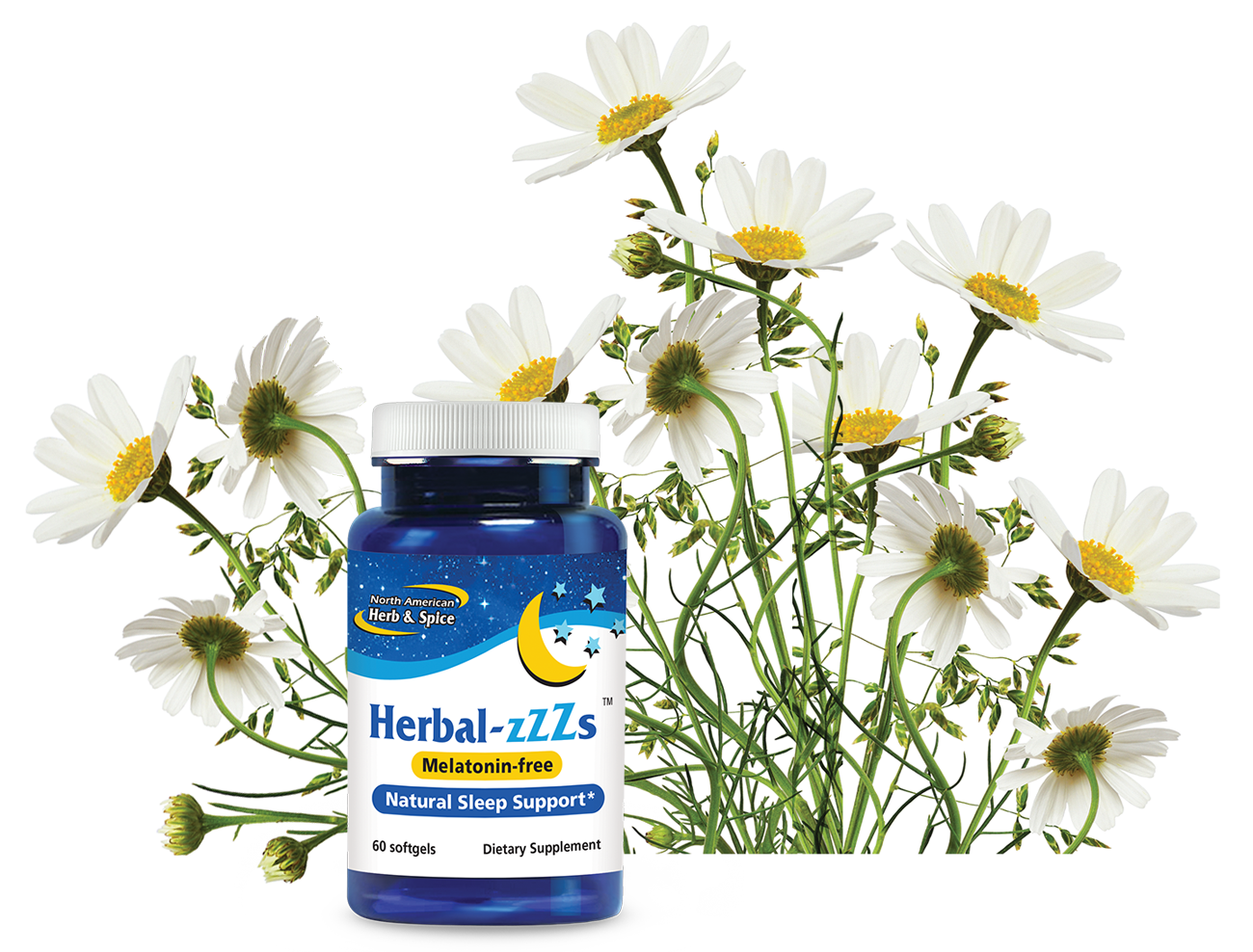 Chamomile flowers with Herbal-Zzzs product