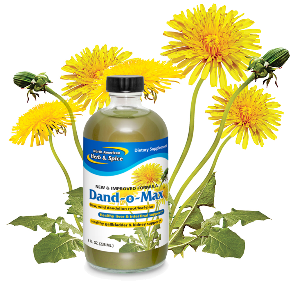 Wild dandelions with Dand-o-Max product