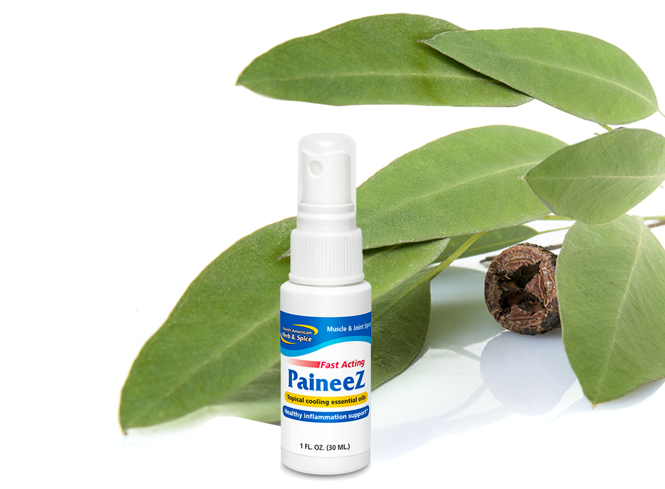 Eucalyptus ingredient with Paineez product