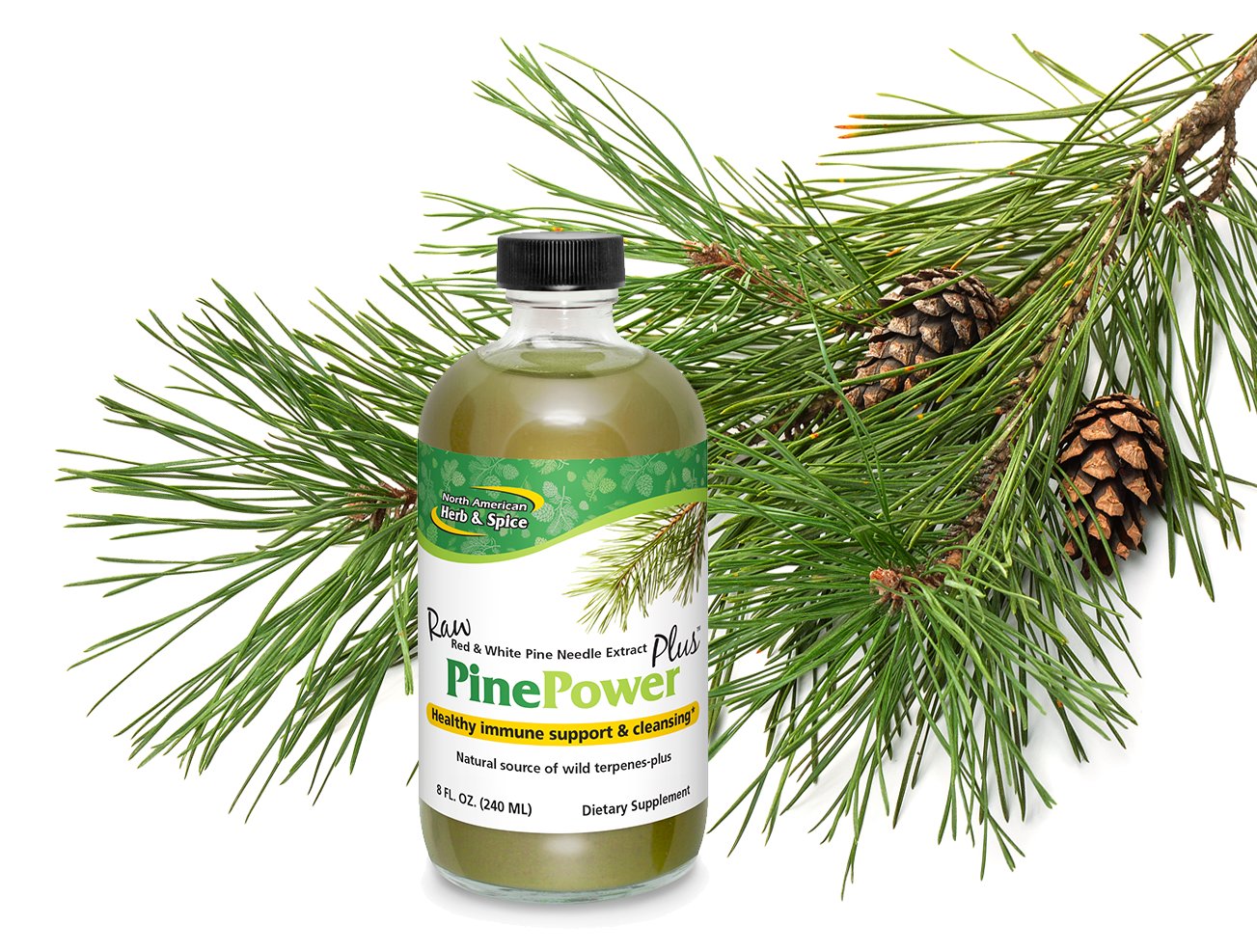 Pine needles with PinePower product