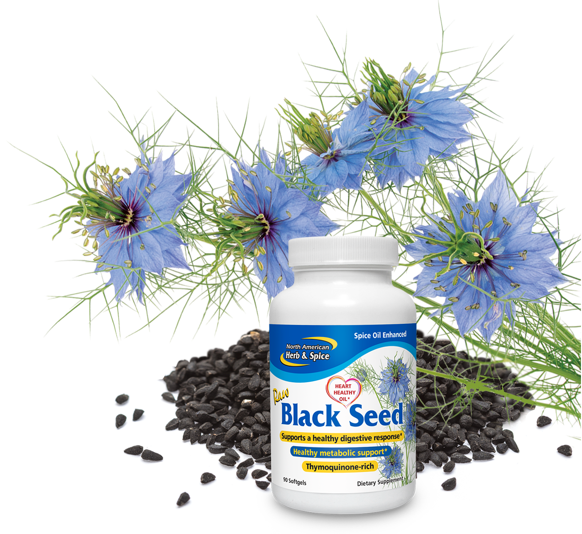 Wild black seed plants and seeds with Black Seed Gelcap product