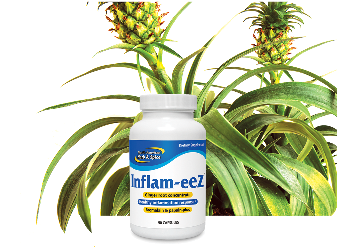 Bromelain ingredient with Inflam-eez product