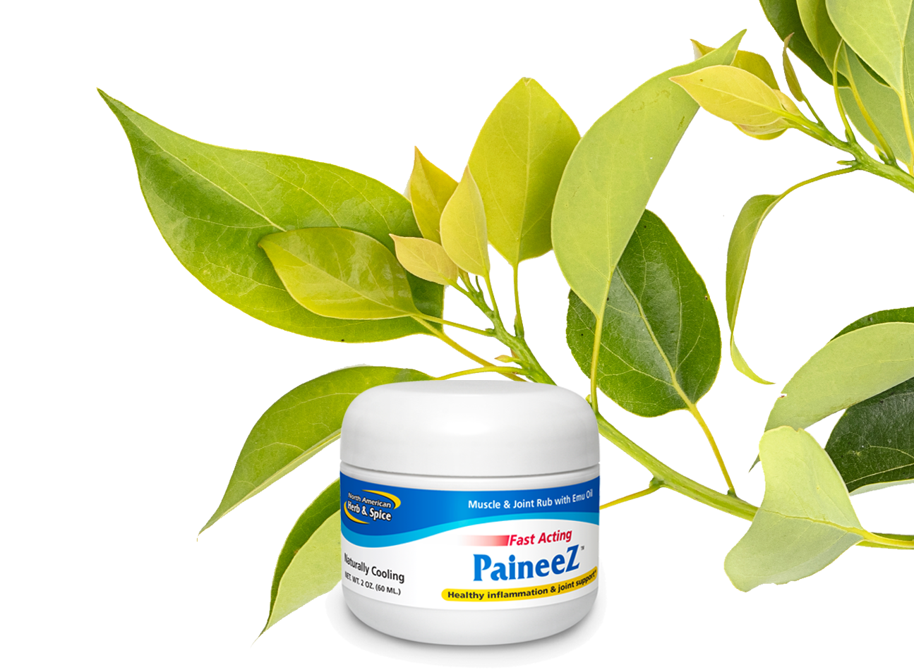 Camphor ingredient with Paineez product