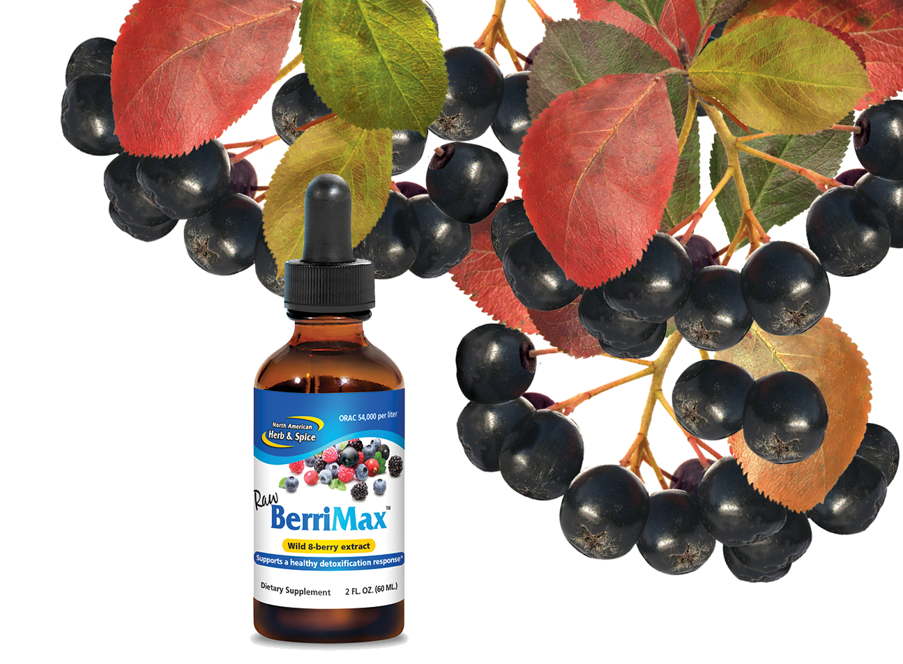 Choke Cherry ingredient with BerriMax product
