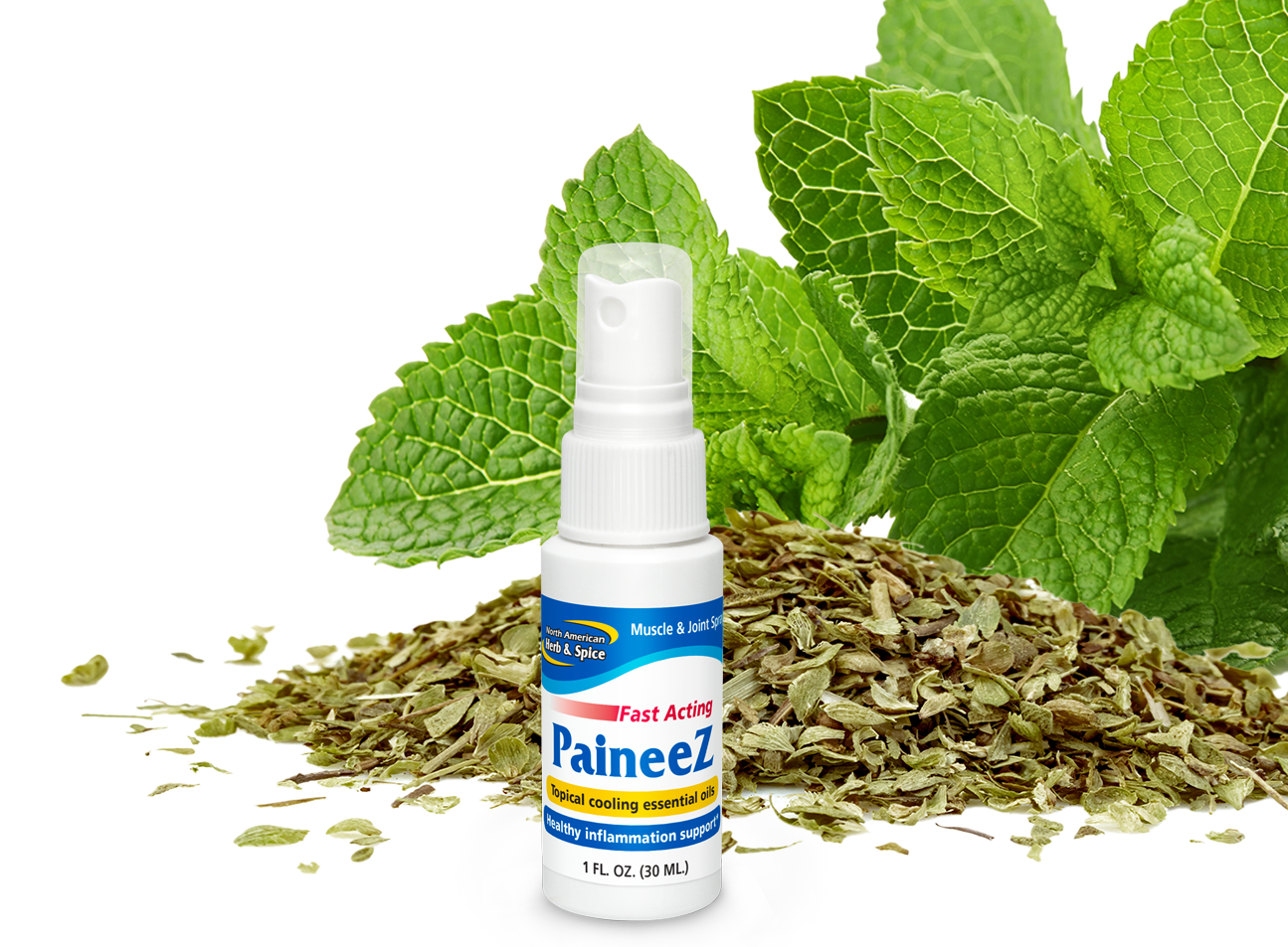 Mint ingredient with Paineez product