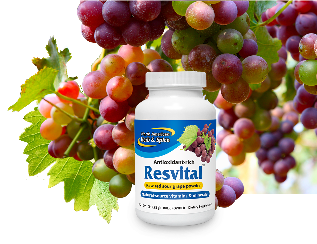 Red sour grapes with Resvital product bottle