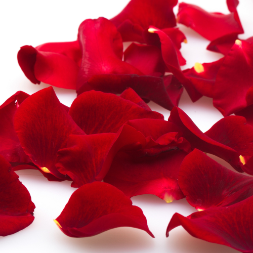 rose petals ingredient