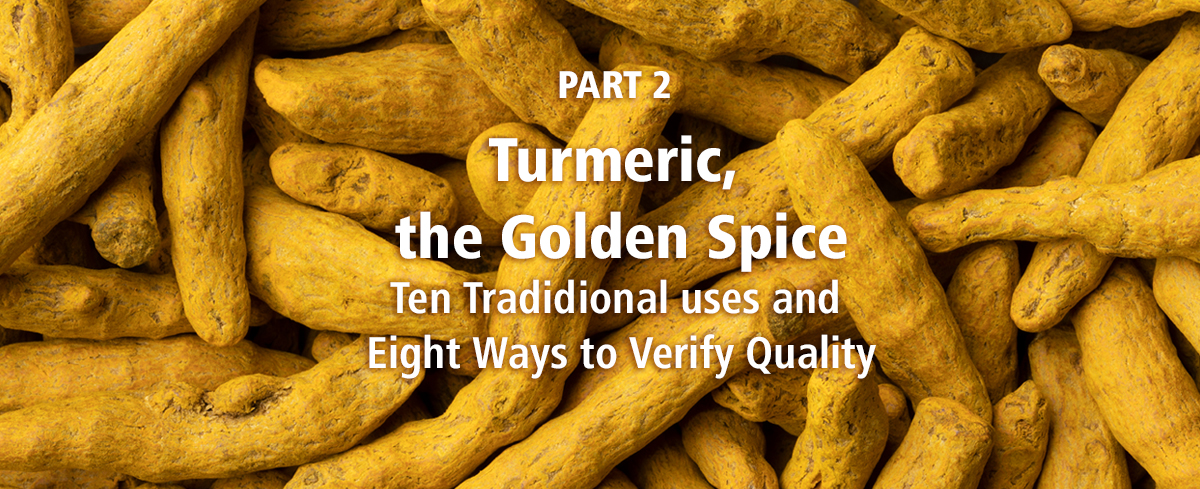 Featured image for “Turmeric, the Golden Spice Part 2: Ten Traditional Uses and Eight Ways to Verify Quality”