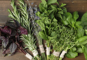 Herbs Herbs