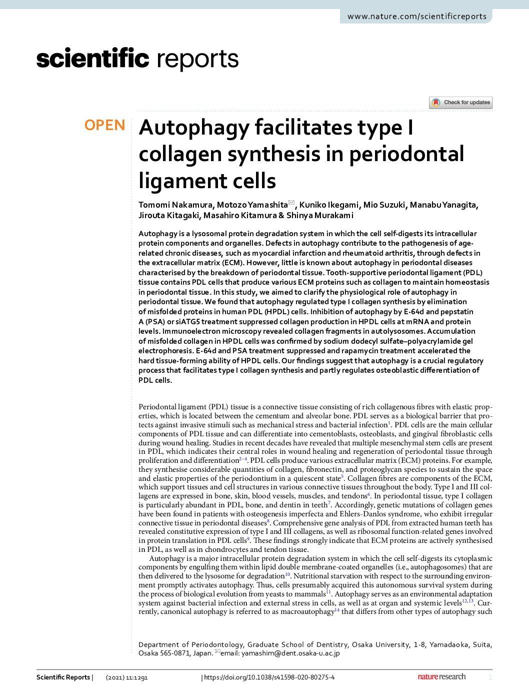 Featured image for “Autophagy facilitates type I collagen synthesis in periodontal ligament cells”