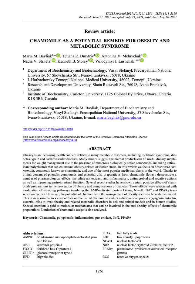 Featured image for “Chamomile as a potential remedy for obesity and metabolic syndrome”