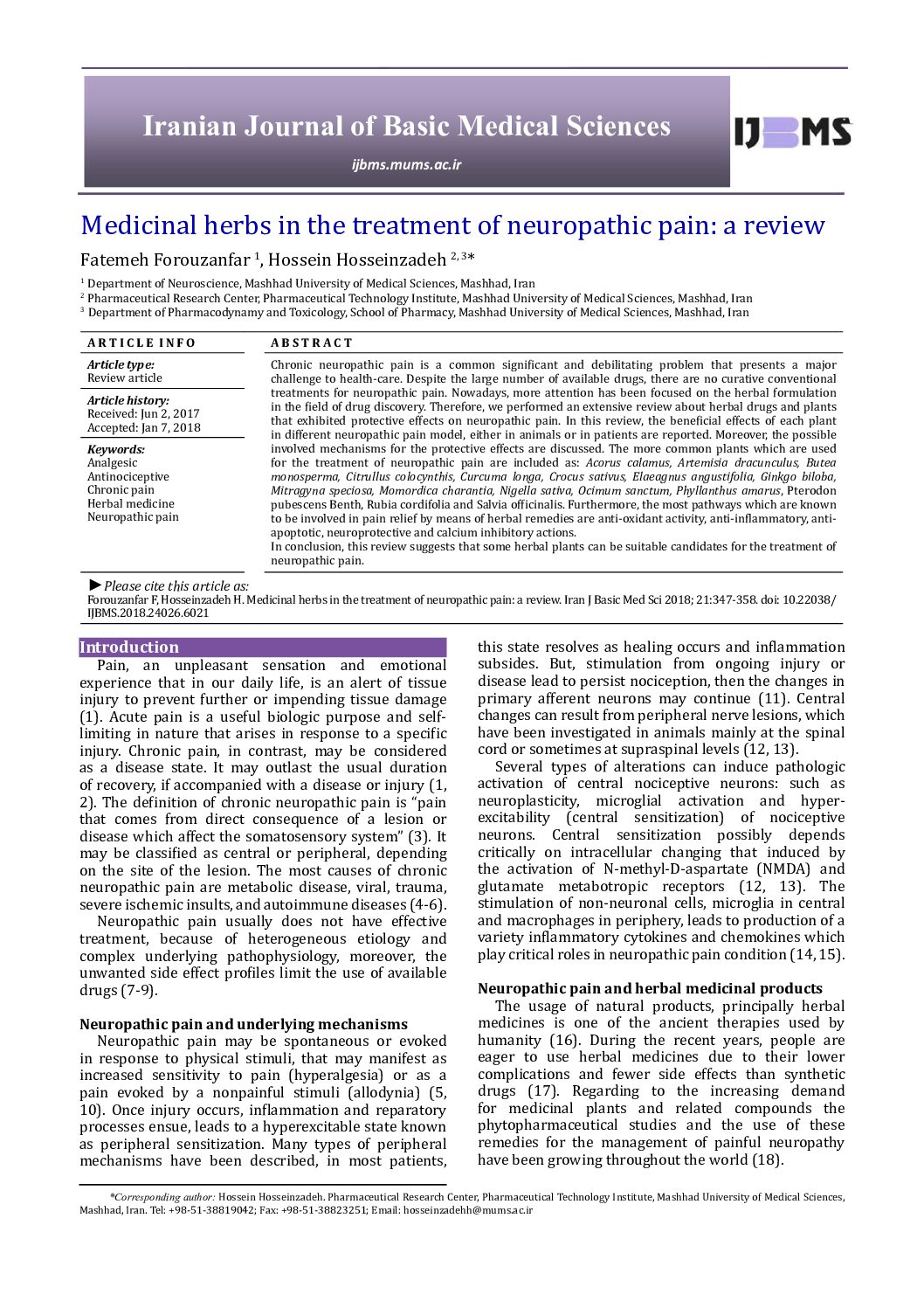 Featured image for “Medicinal herbs in the treatment of neuropathic pain: a review”