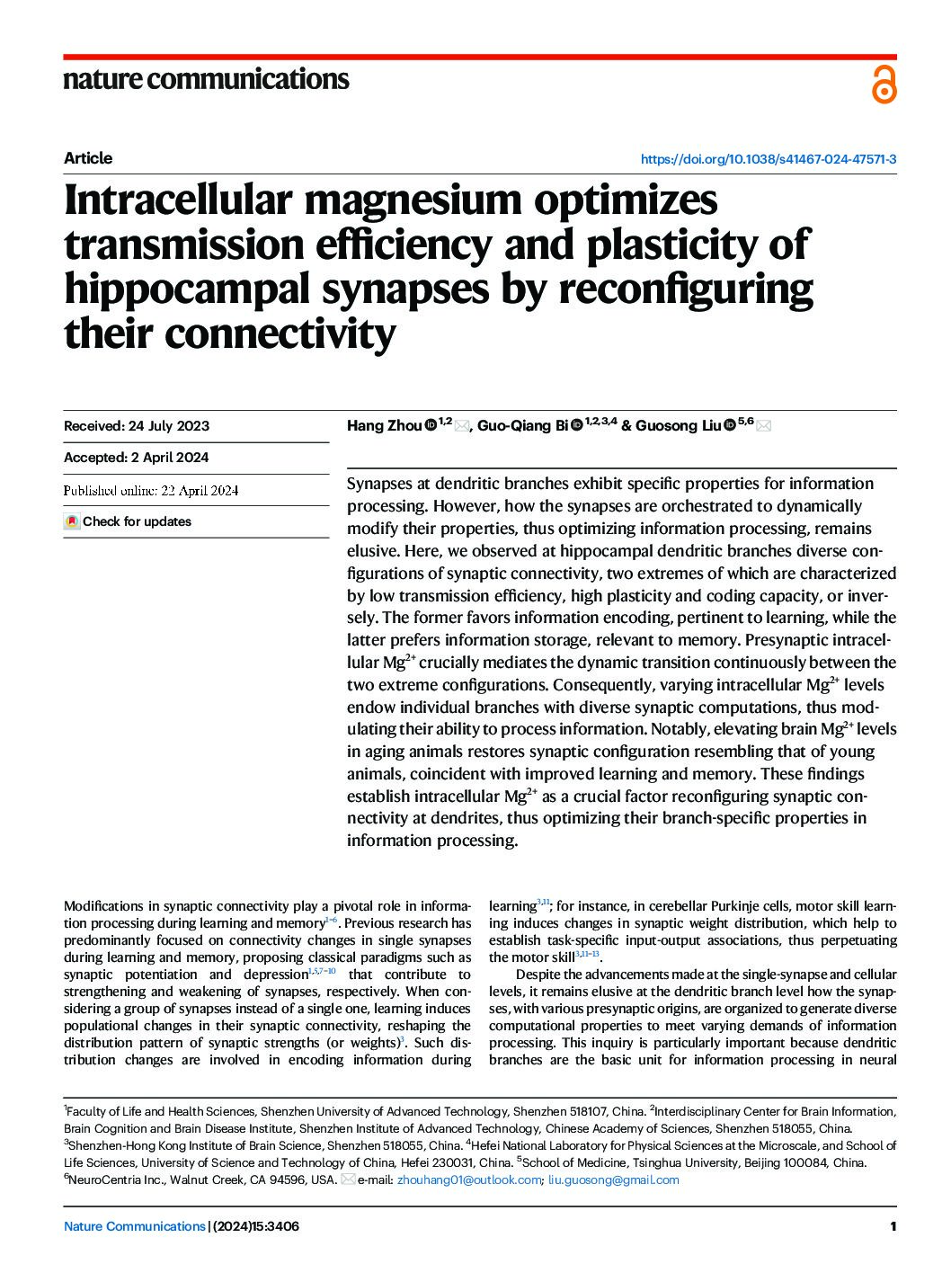 Featured image for “Intracellular magnesium optimizes transmission effciency and plasticity of hippocampal synapses by reconfiguring their connectivity”
