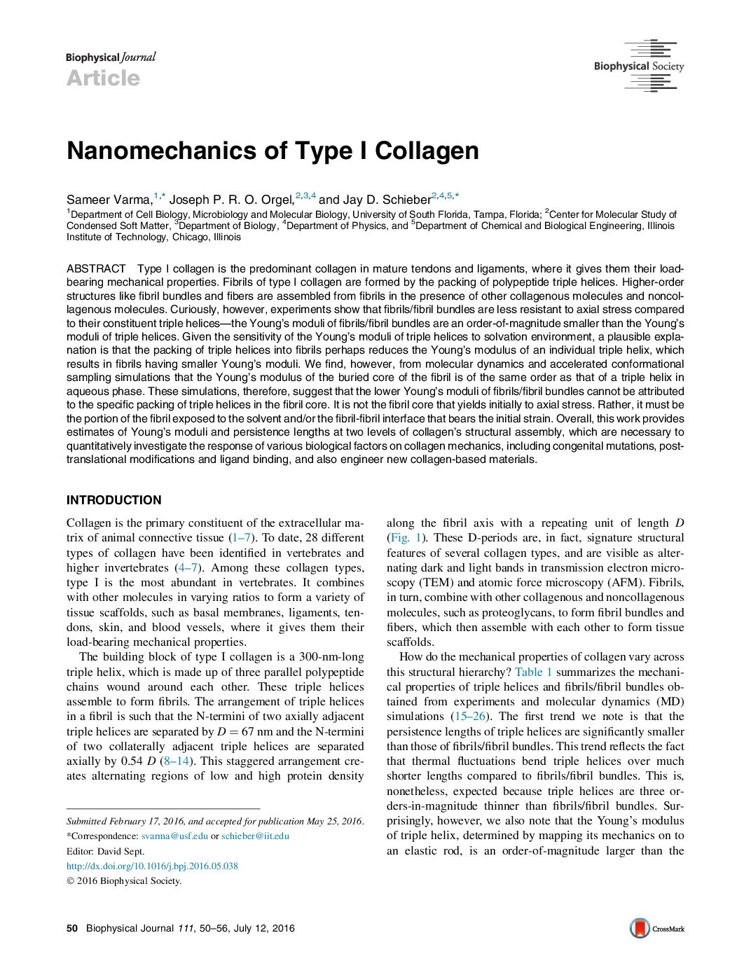 Featured image for “Nanomechanics of Type I Collagen”