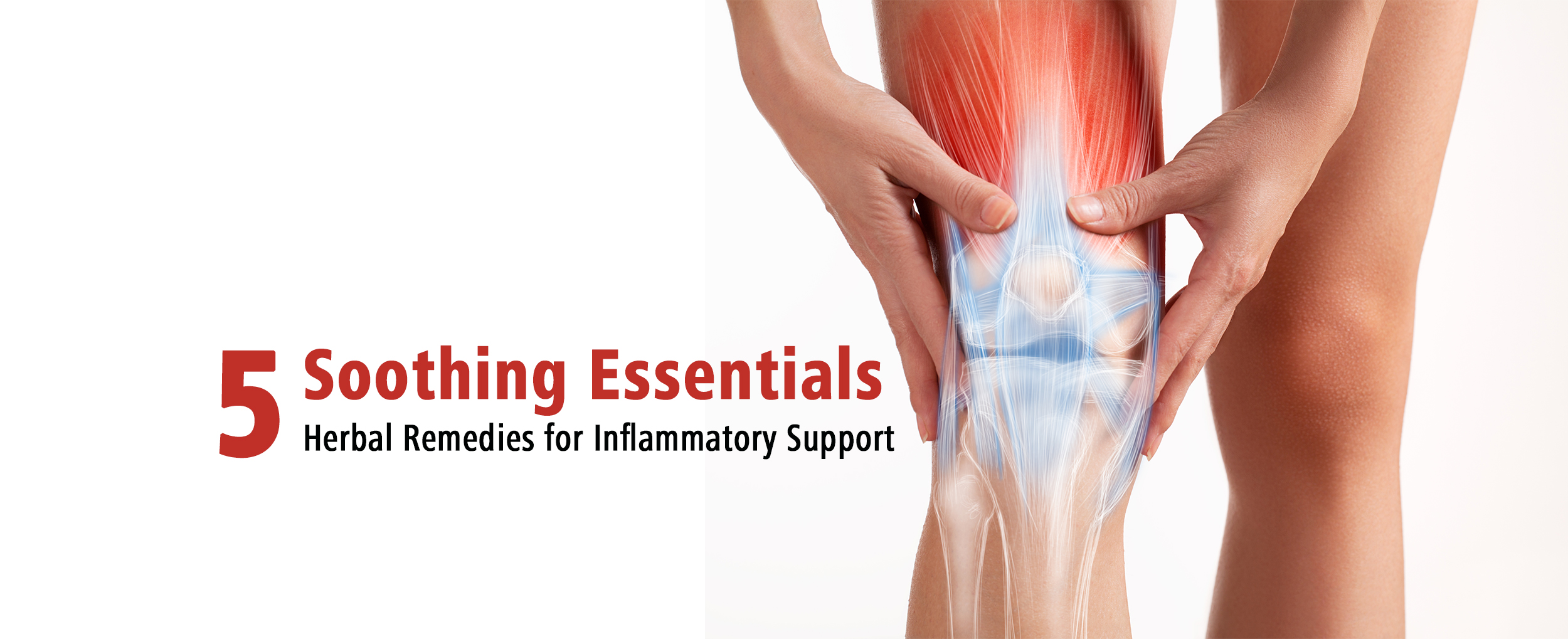 Featured image for “5 Soothing Essentials”