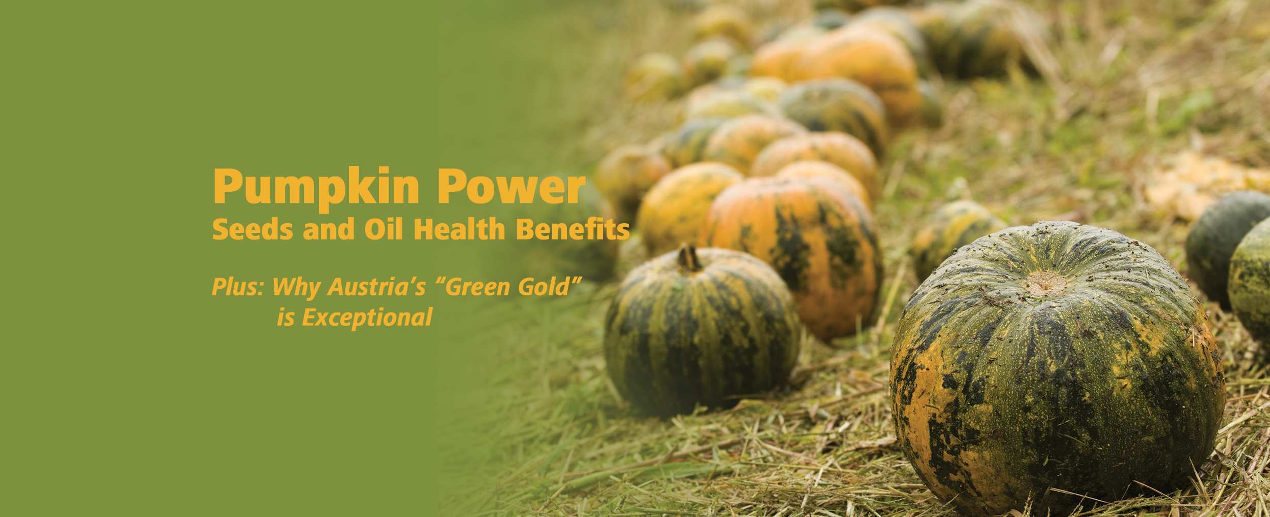 Featured image for “Pumpkin Power: Seeds & Oil Health Benefits – Plus: Why Austria’s “Green Gold” Is Exceptional”