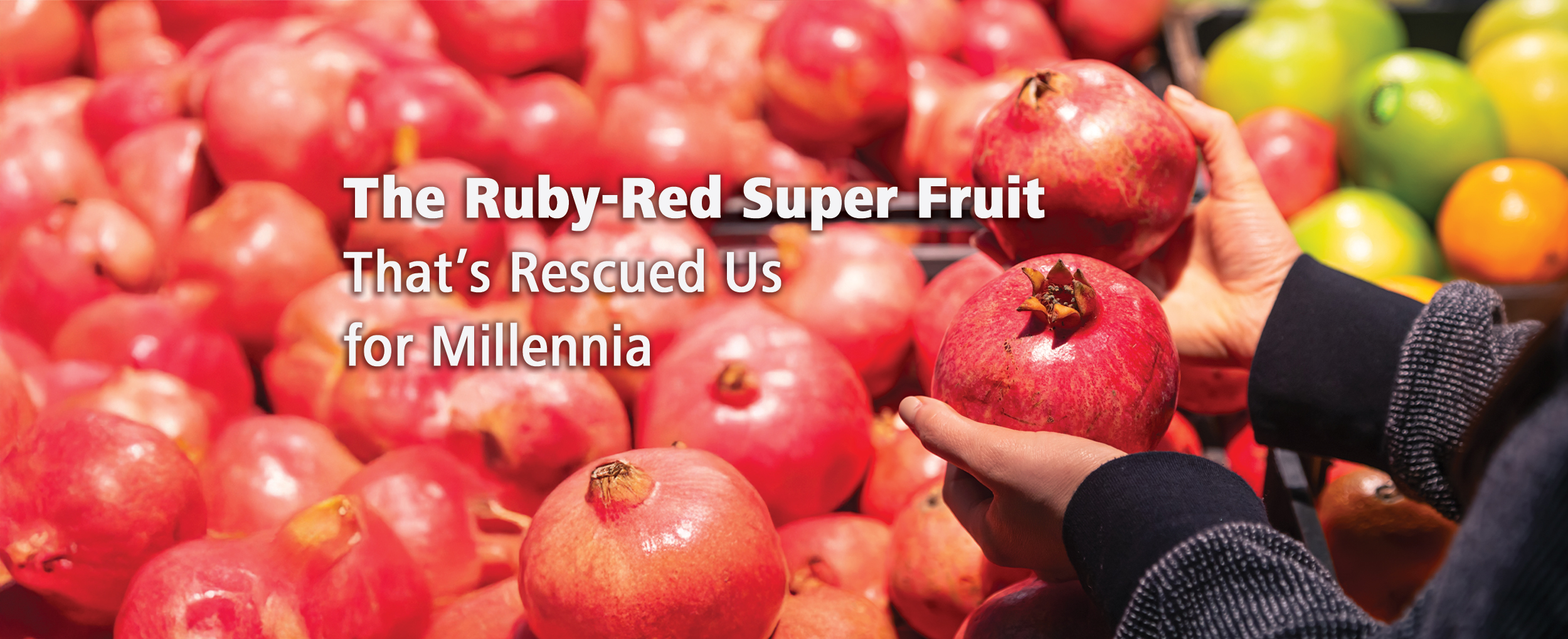 Featured image for “The Ruby-Red Super Fruit That’s Rescued Us for Millennia”
