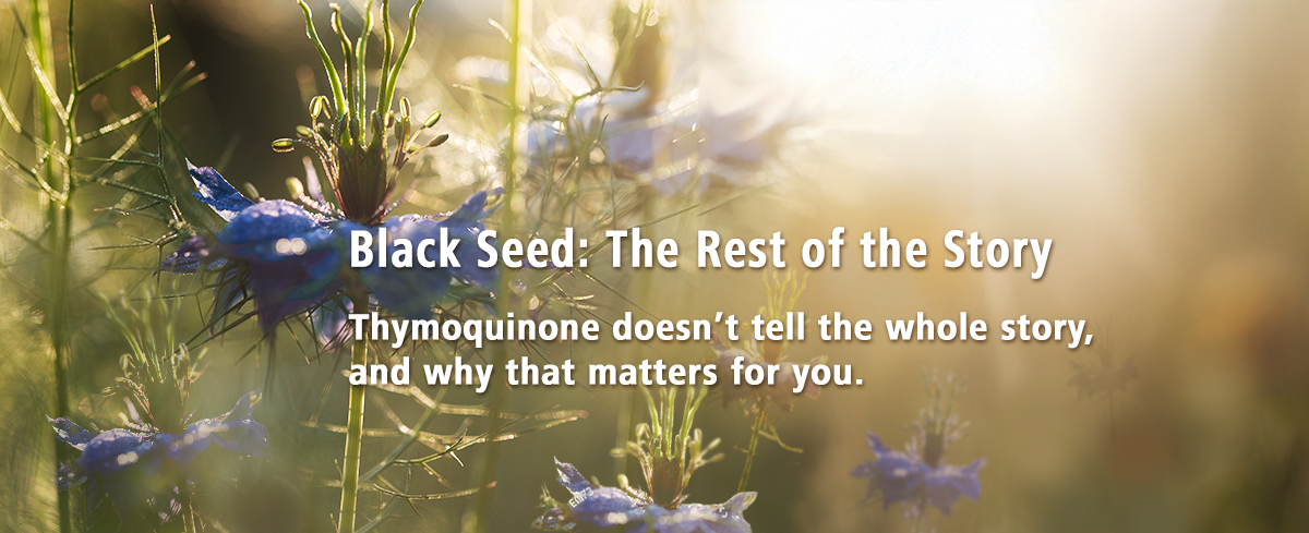 Featured image for “Black Seed: The Rest of the Story”
