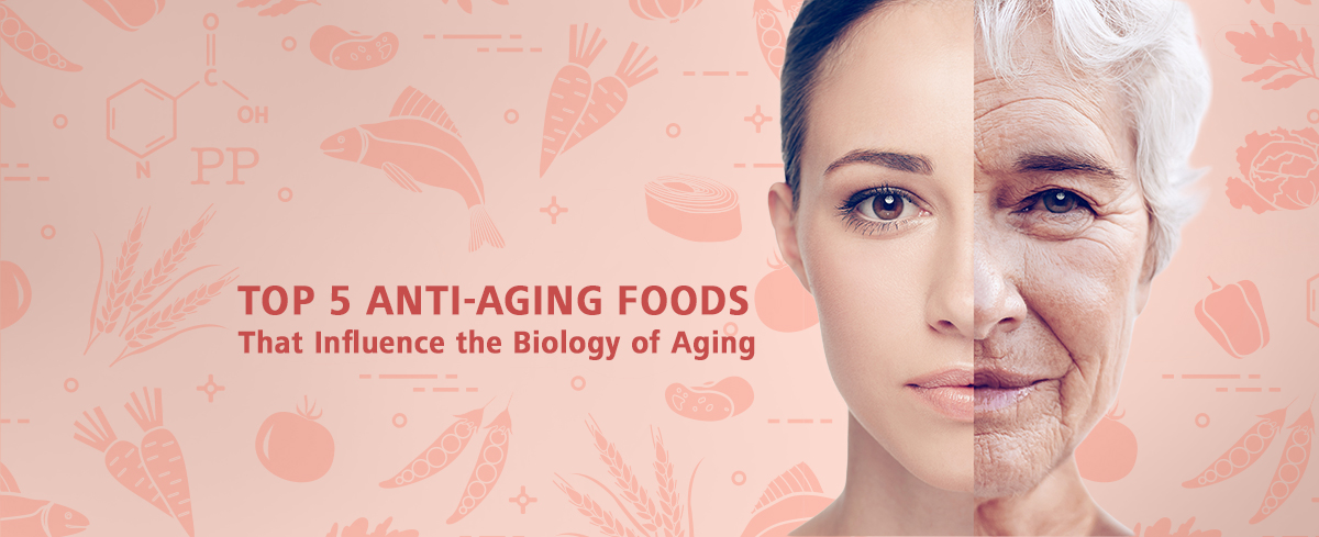 Featured image for “Top 5 Anti-Aging Foods That Influence the Biology of Aging”