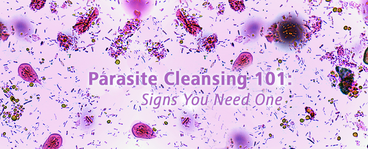 Featured image for “Parasite Cleansing 101: Signs You Need One”